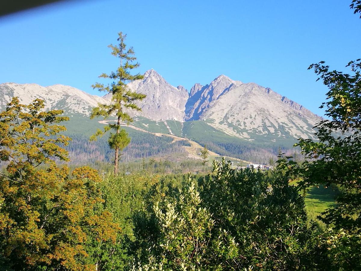 Apartman Marta, 200 M Ski Tatranska Lomnica Bagian luar foto